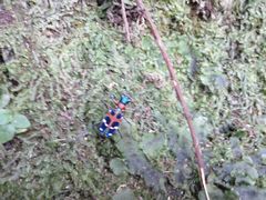 f:id:avdk101:20140914140840j:image