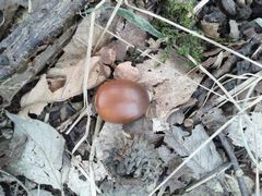 f:id:avdk101:20140917211256j:image