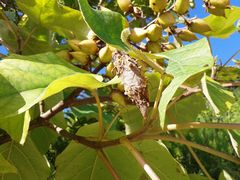 f:id:avdk101:20140918225832j:image