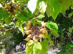 f:id:avdk101:20140918225833j:image