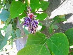 f:id:avdk101:20140918225836j:image