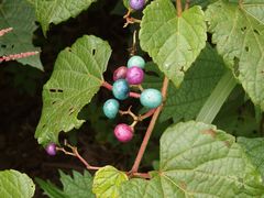 f:id:avdk101:20140921225017j:image