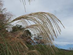 f:id:avdk101:20140921225020j:image