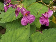 f:id:avdk101:20140921225023j:image