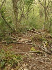 f:id:avdk101:20140921225528j:image