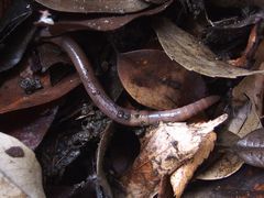 f:id:avdk101:20140928172306j:image