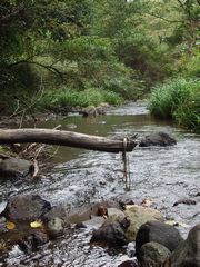 f:id:avdk101:20140928172736j:image