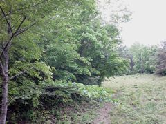 f:id:avdk101:20150510224608j:image