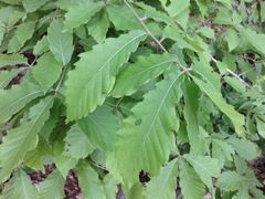 f:id:avdk101:20150510224611j:image f:id:avdk101:20150510224611j:image