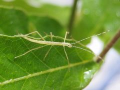 f:id:avdk101:20150510224613j:image