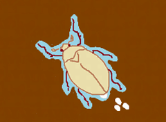 f:id:avdk101:20150718104543g:image f:id:avdk101:20150718104543g:image