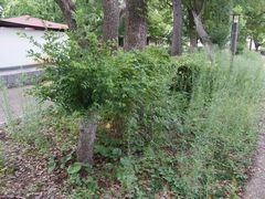 f:id:avdk101:20150819160025j:image