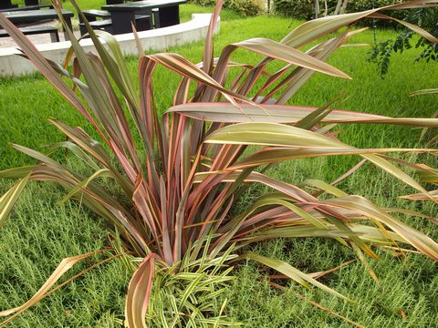 f:id:avdk101:20150821061439j:image f:id:avdk101:20150821061439j:image