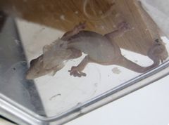 f:id:avdk101:20151025210719j:image