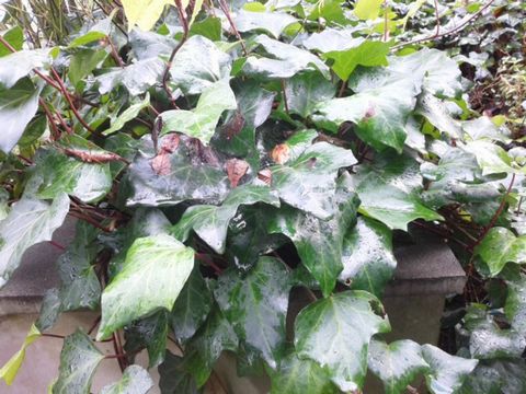 f:id:avdk101:20151031192701j:image