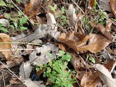 f:id:avdk101:20151123223950j:image