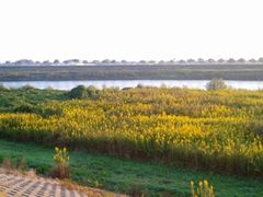 f:id:avdk101:20151124225317j:image