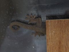 f:id:avdk101:20151128191207j:image