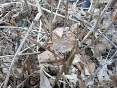 f:id:avdk101:20160329232744j:image