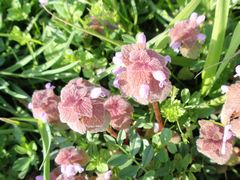 f:id:avdk101:20160405044516j:image