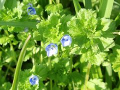 f:id:avdk101:20160405044517j:image