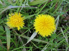 f:id:avdk101:20160405044520j:image