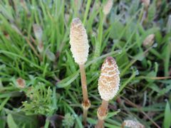 f:id:avdk101:20160405044521j:image