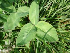 f:id:avdk101:20160405044522j:image