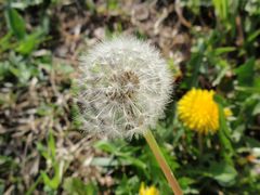 f:id:avdk101:20160405044523j:image