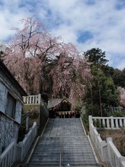 f:id:avdk101:20160405044534j:image