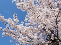 f:id:avdk101:20160405044536j:image