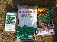 f:id:avdk101:20160409071749j:image