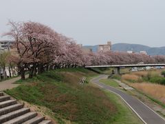 f:id:avdk101:20160416224101j:image
