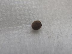 f:id:avdk101:20160424234019j:image