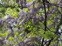 f:id:avdk101:20160430003233j:image