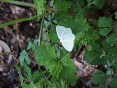 f:id:avdk101:20160430003236j:image