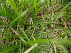 f:id:avdk101:20160502204824j:image