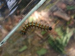f:id:avdk101:20160504163508j:image