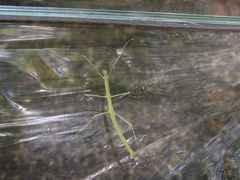 f:id:avdk101:20160504163509j:image