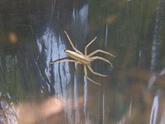 f:id:avdk101:20160504194333j:image