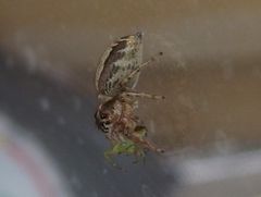 f:id:avdk101:20160506000316j:image