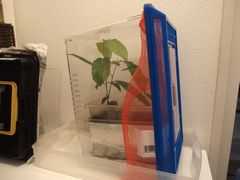 f:id:avdk101:20160512222620j:image f:id:avdk101:20160512222620j:image