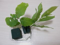 f:id:avdk101:20160512223635j:image