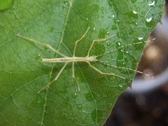 f:id:avdk101:20160514120407j:image