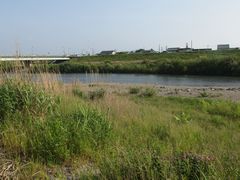 f:id:avdk101:20160519231617j:image