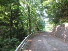 f:id:avdk101:20160522171559j:image