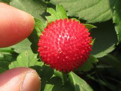 f:id:avdk101:20160522171602j:image