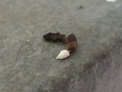 f:id:avdk101:20160528205851j:image