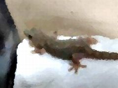 f:id:avdk101:20160528213512j:image