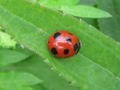 f:id:avdk101:20160602235317j:image